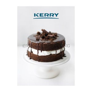 KERRY CONCENTRATE DARK CHOCO SPONGE 20KG